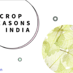 Crop Seasons in India